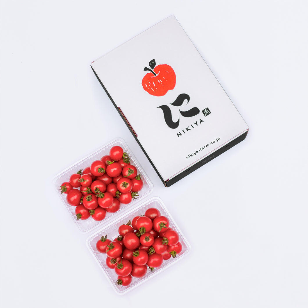 【旨味たっぷり】にきやのフルーツミニトマト 1㎏ 7月中旬発送開始